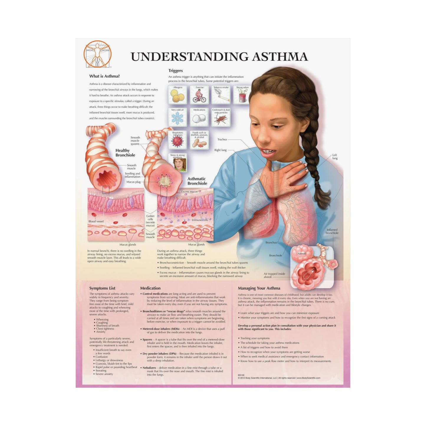 Understanding Asthma