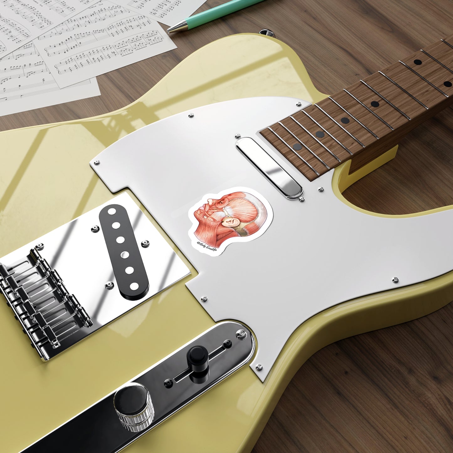 Facial Muscles - Diecut Sticker