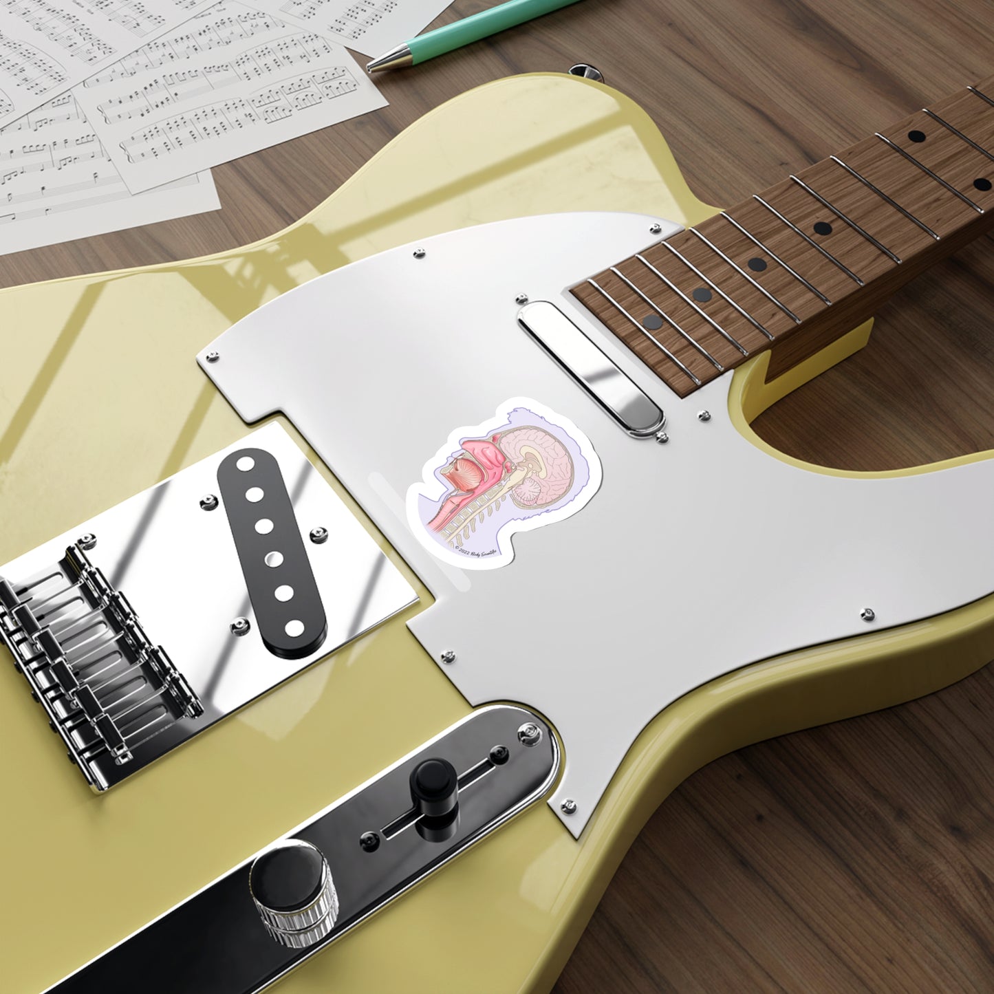 Sagittal Head - Diecut Sticker