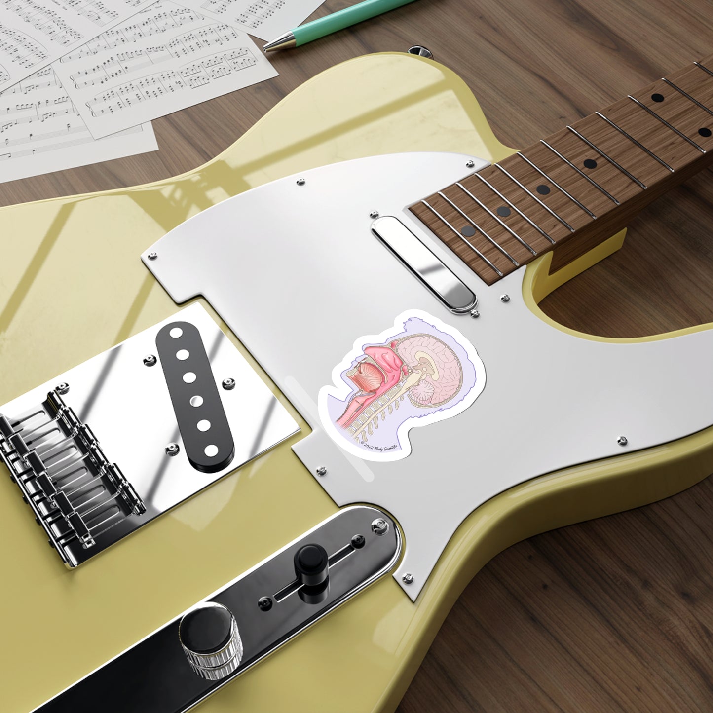 Sagittal Head - Diecut Sticker