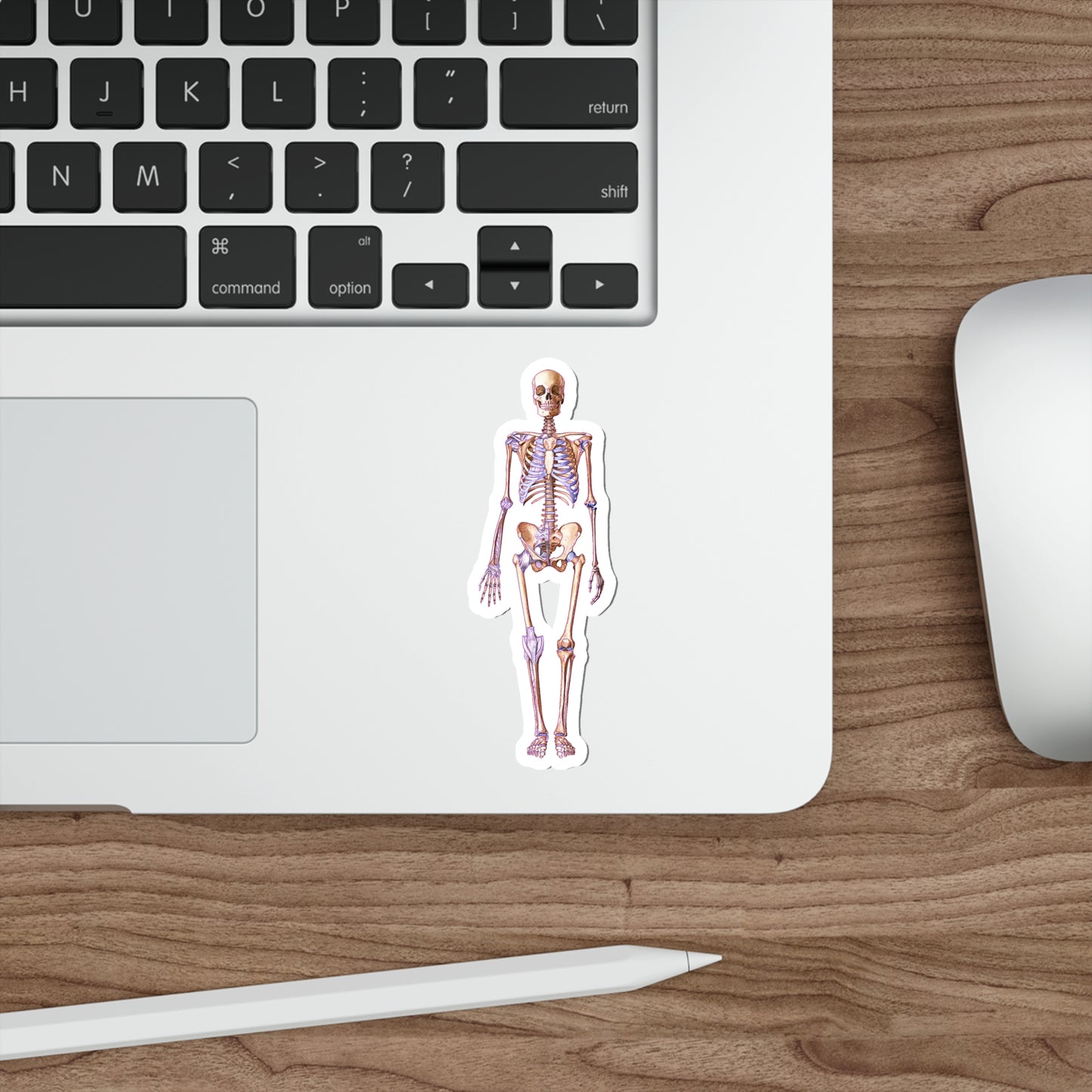 Skeleton - Diecut Sticker