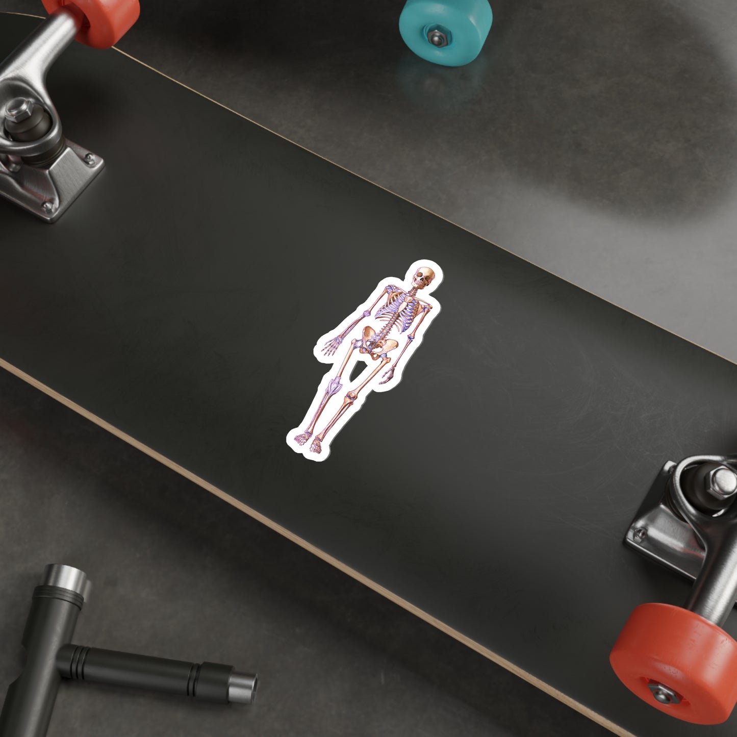 Skeleton - Diecut Sticker