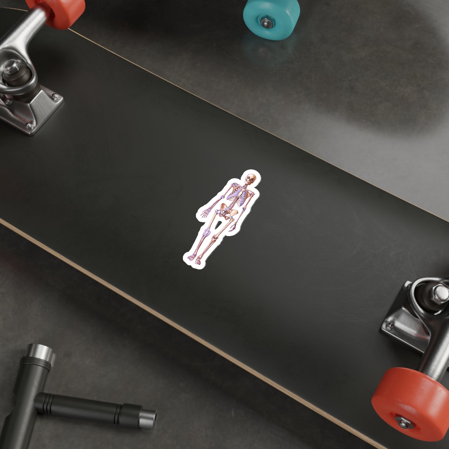Skeleton - Diecut Sticker