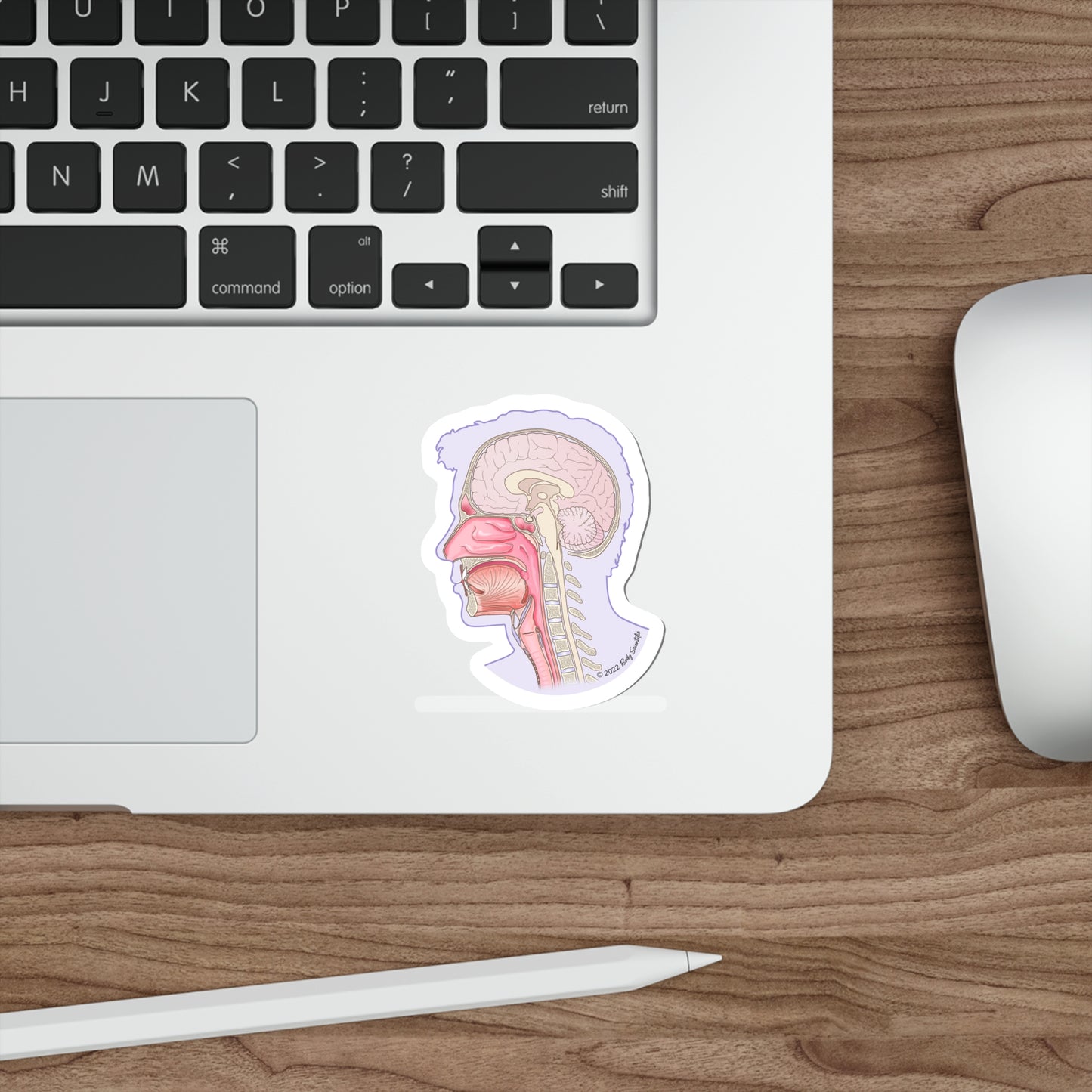 Sagittal Head - Diecut Sticker