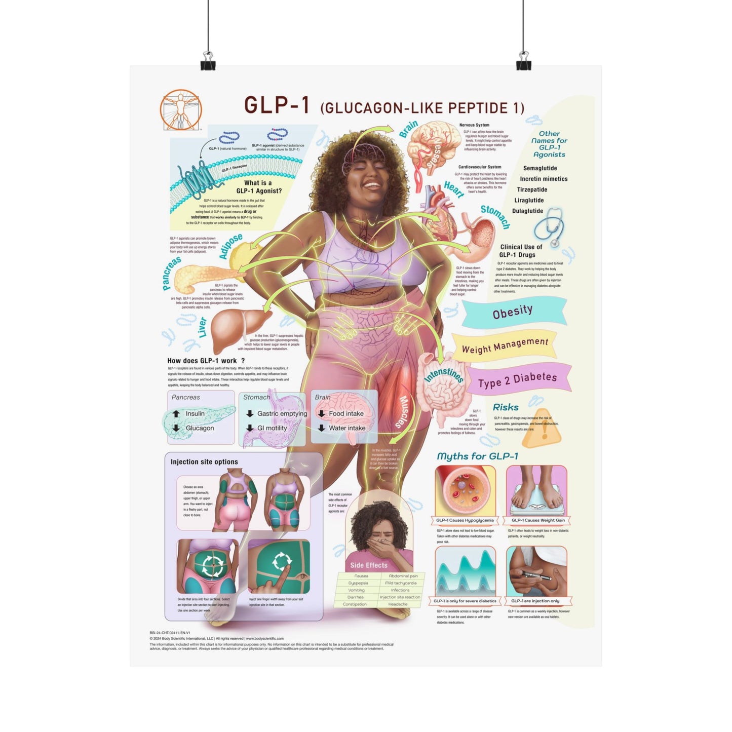 GLP-1 (GLUCAGON-LIKE PEPTIDE 1) - Poster