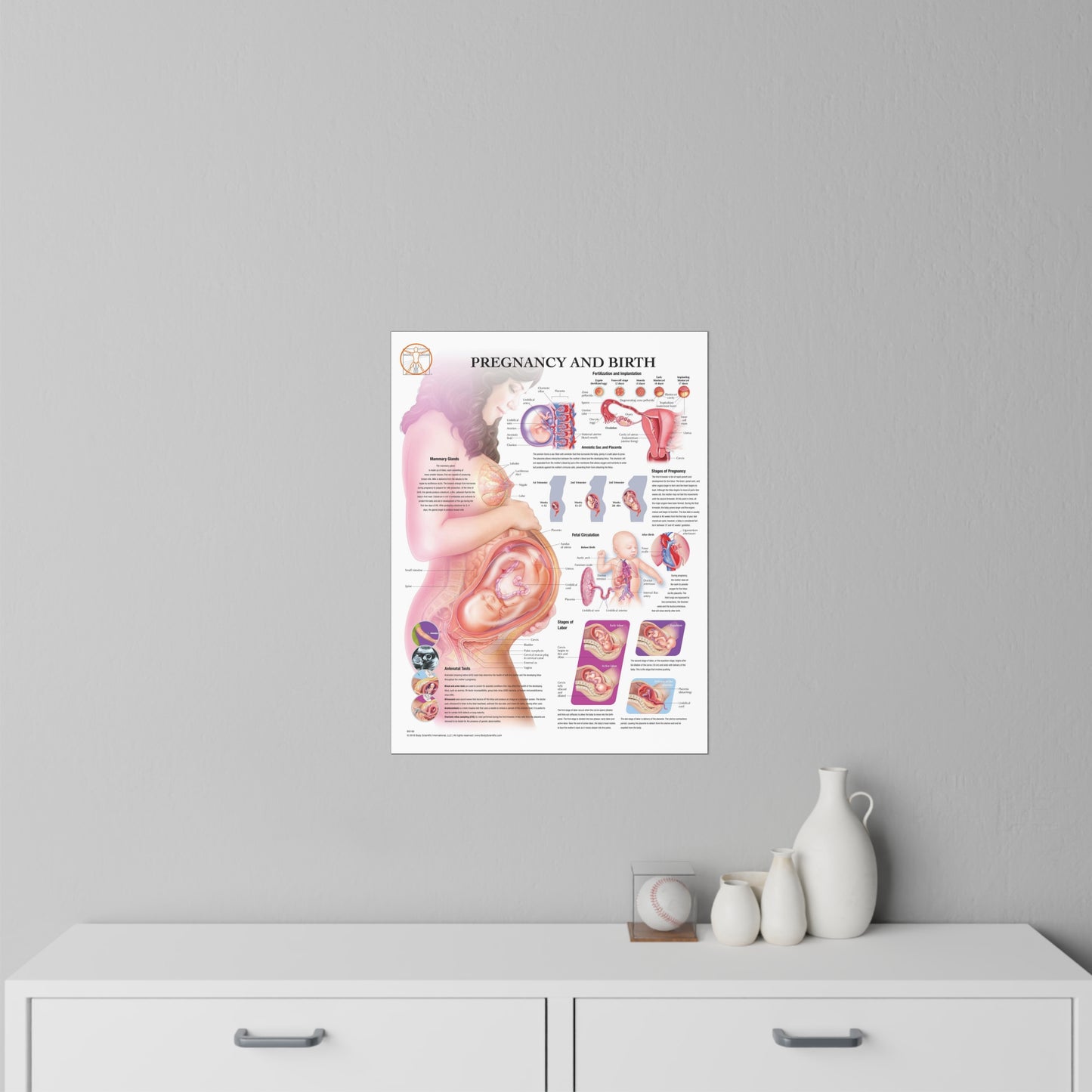 Pregnancy and Birth - Decal