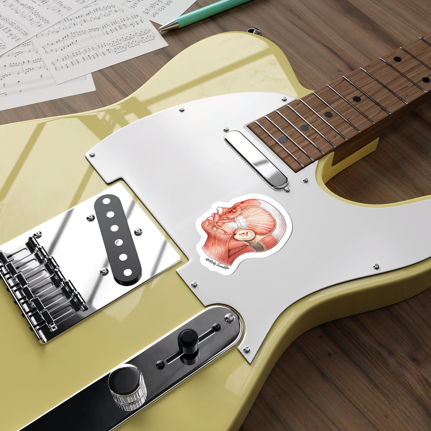 Facial Muscles - Diecut Sticker