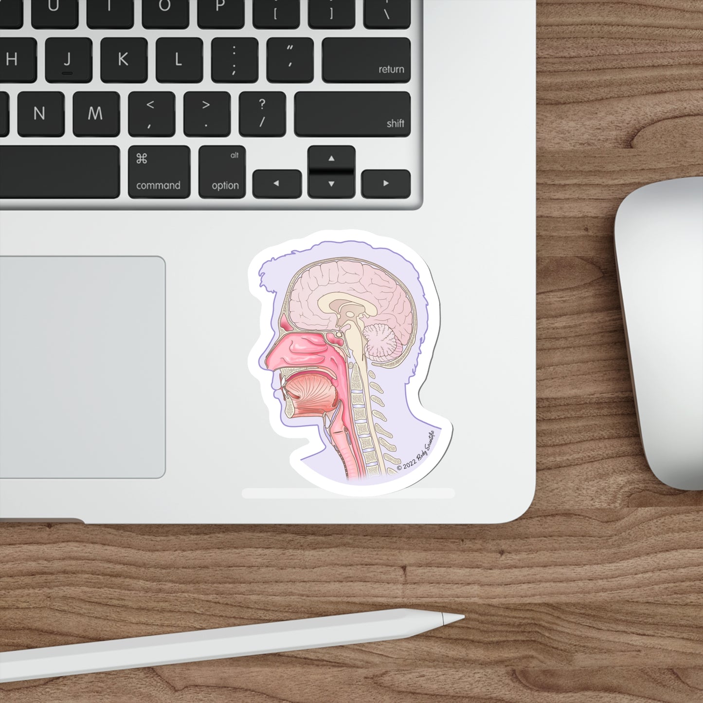Sagittal Head - Diecut Sticker