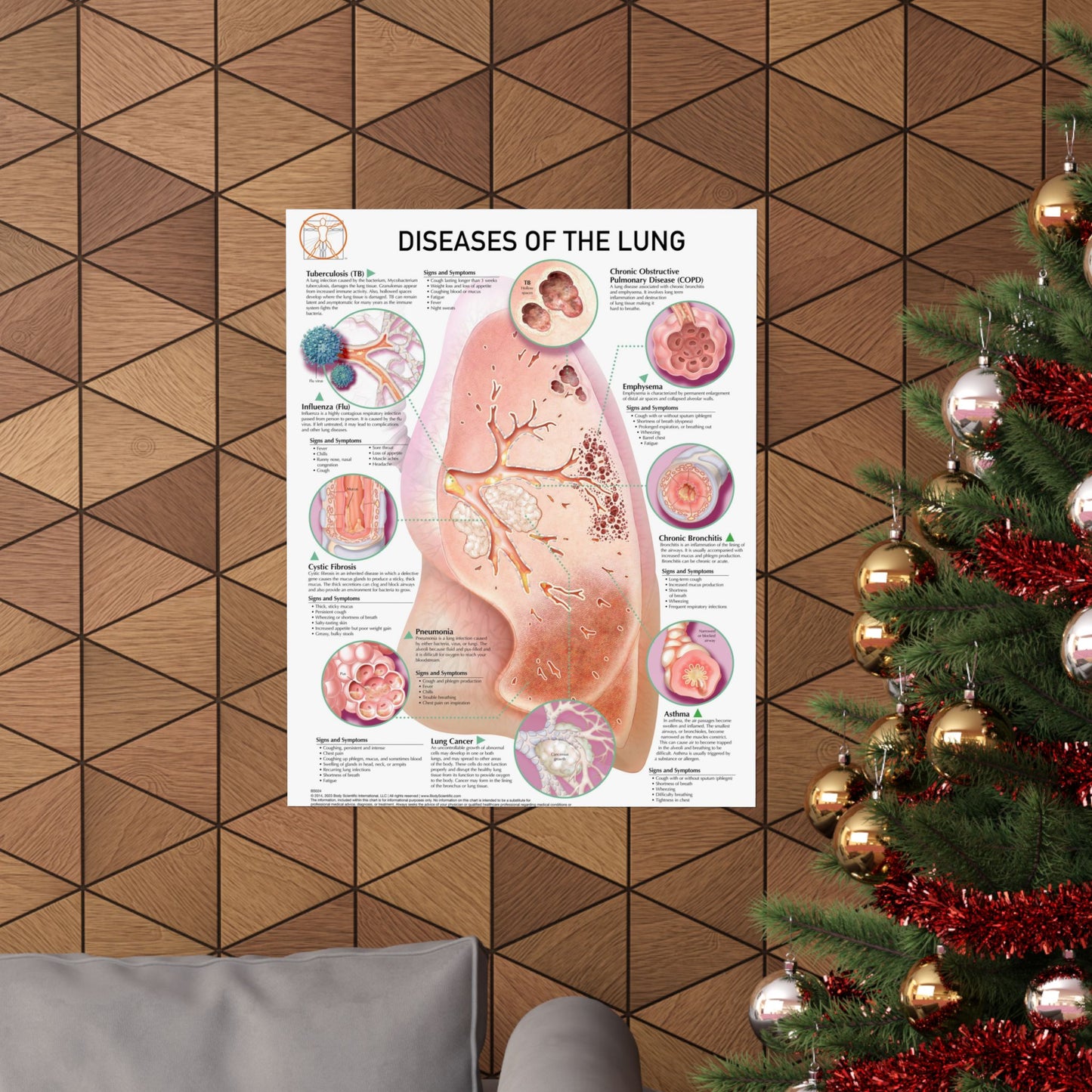 Diseases of the Lung