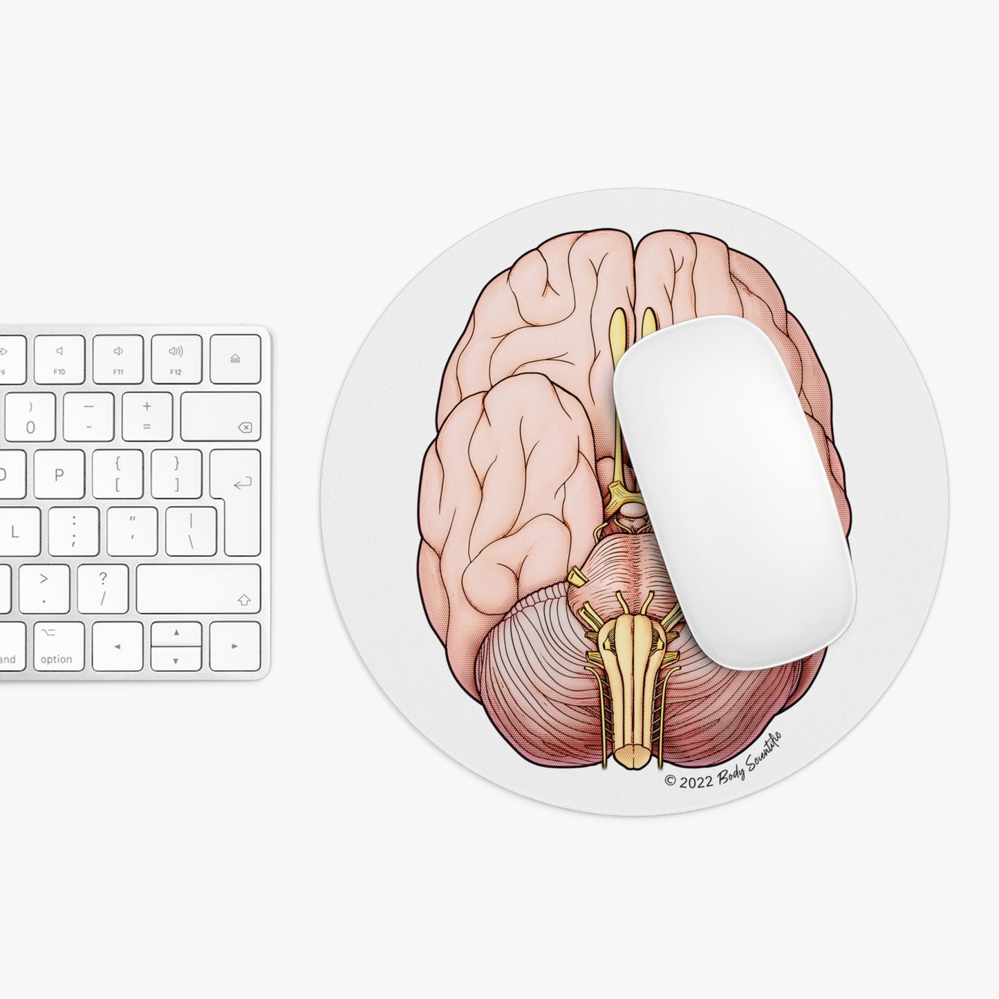 Cranial Nerves Mouse Pad