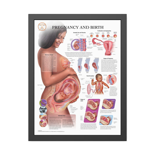 Framed Pregnancy and Birth