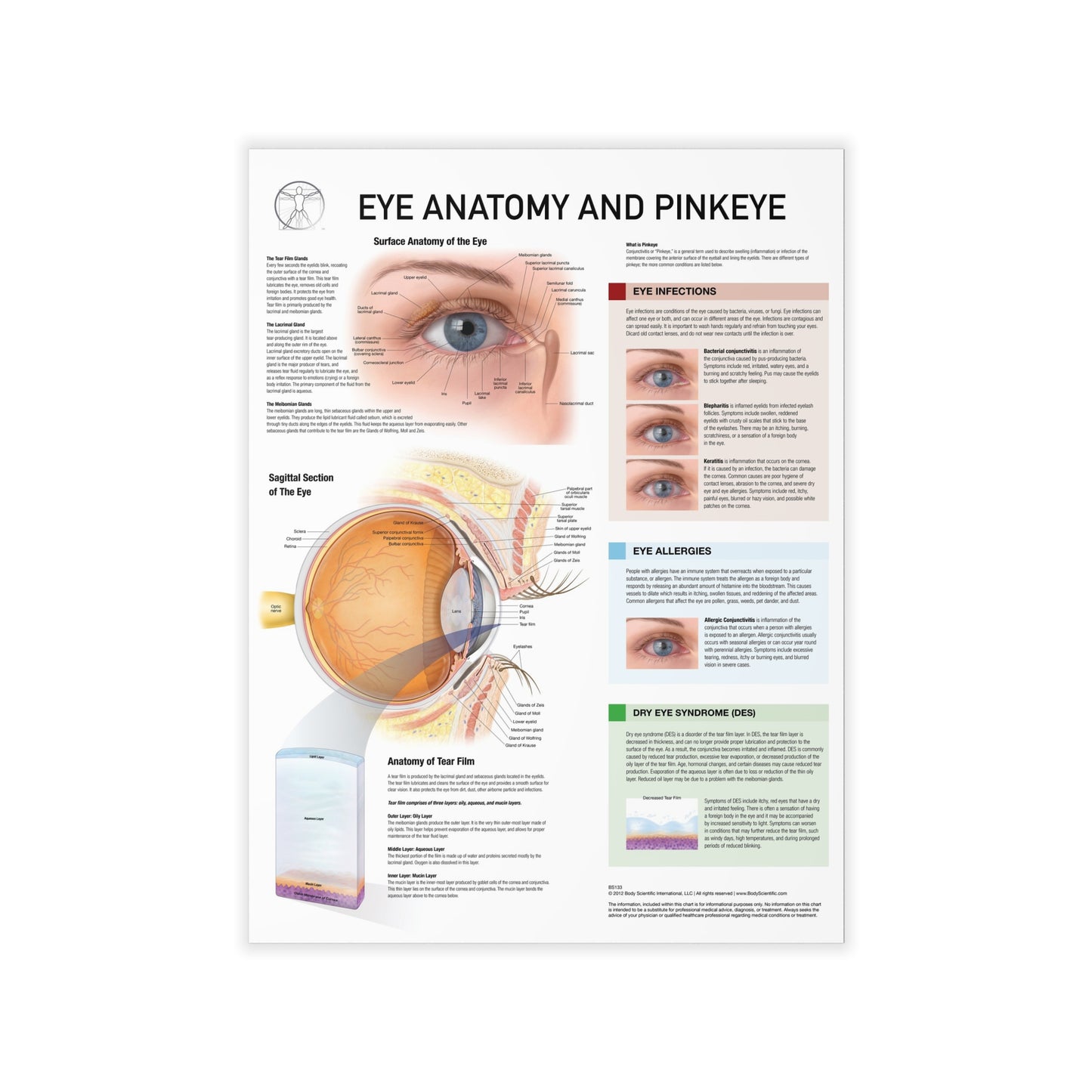 Eye Health - Decal