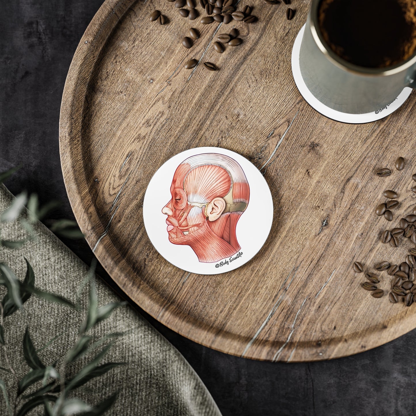 Facial Muscles Coasters