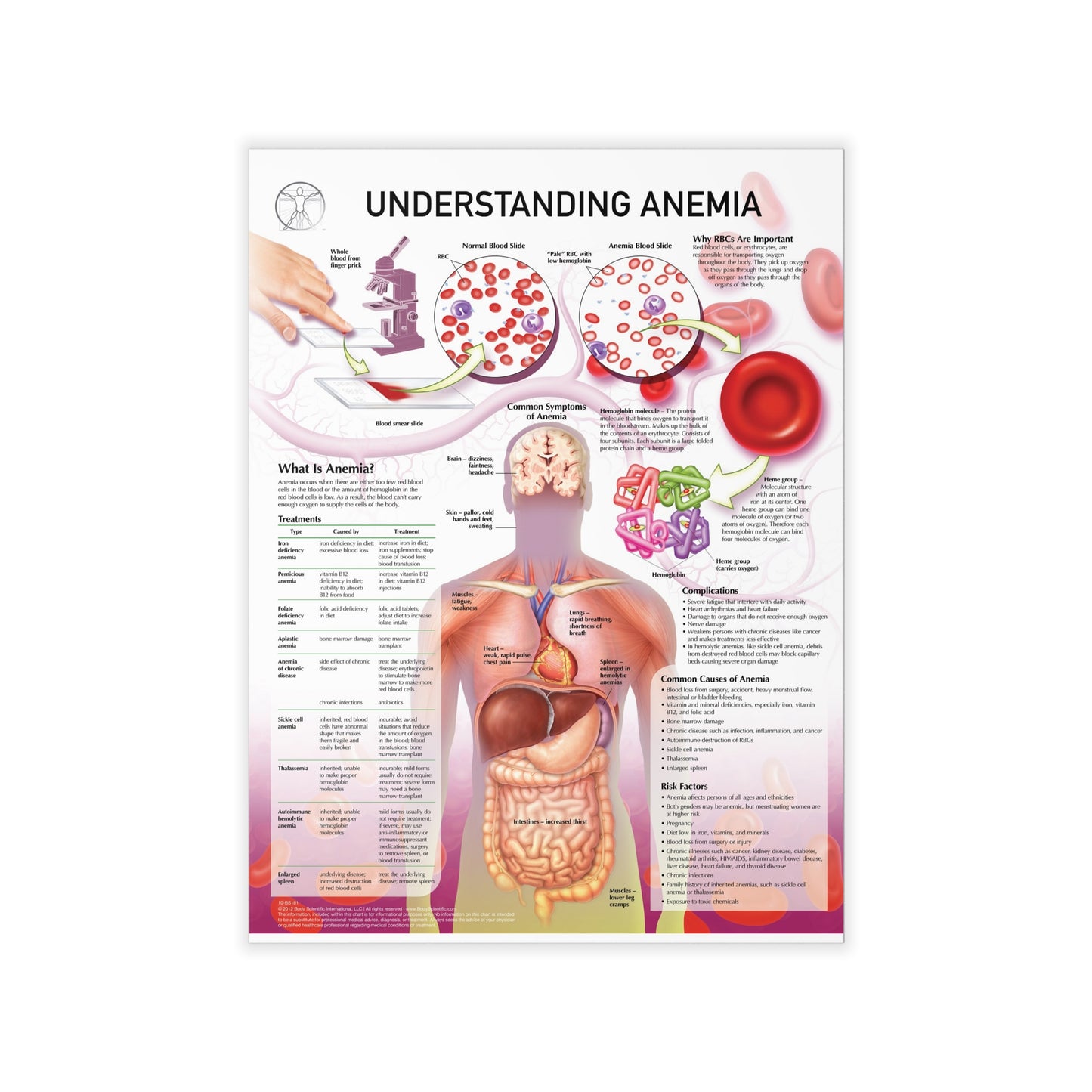 Understanding Anemia - Decal