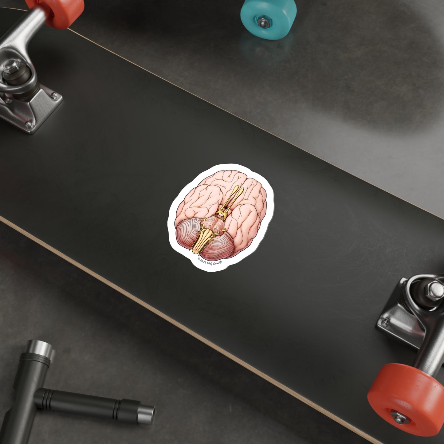 The Brain - Diecut Sticker