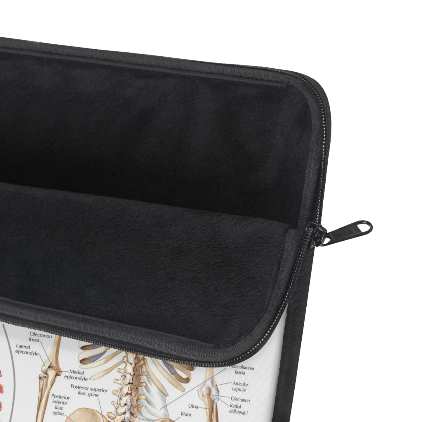 Skeletal System Laptop Sleeve