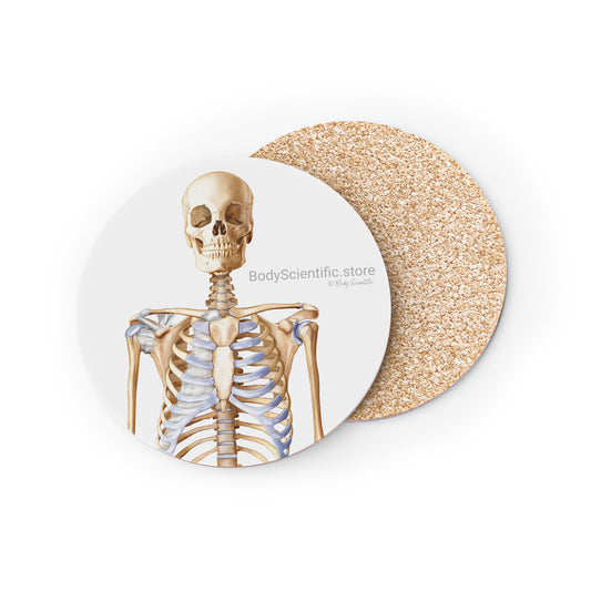 Skeleton Coasters