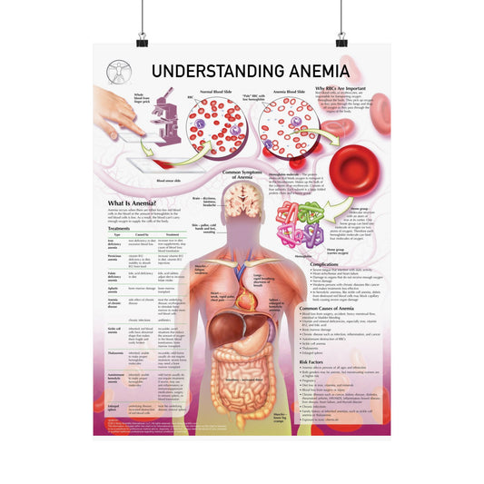 Understanding Anemia