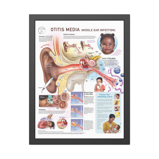 Otitis Media (middle ear infection)