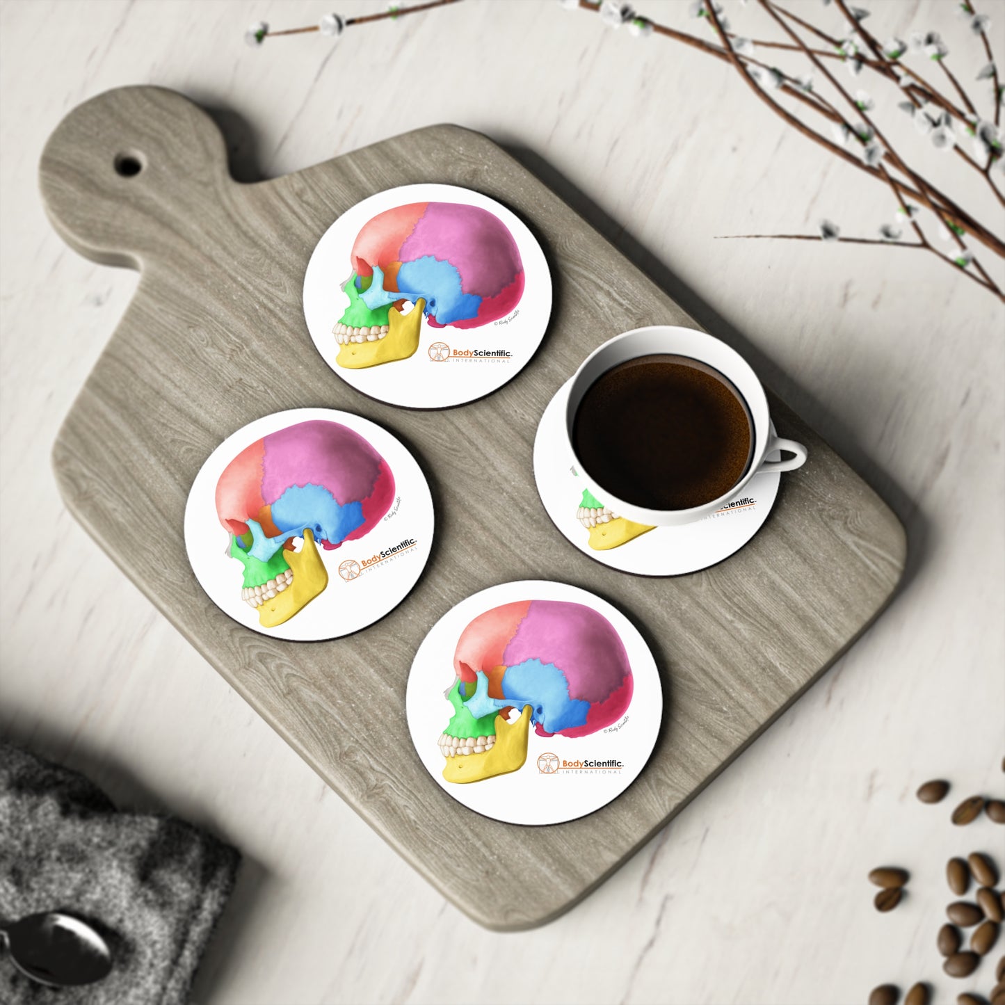 Lateral Skull Coasters