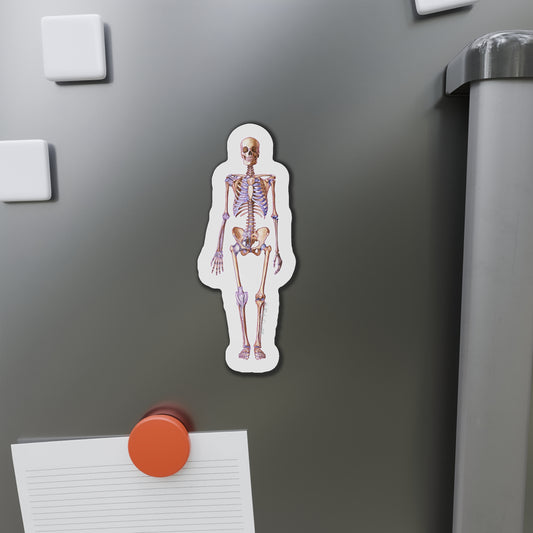 Skeleton - Diecut Magnet