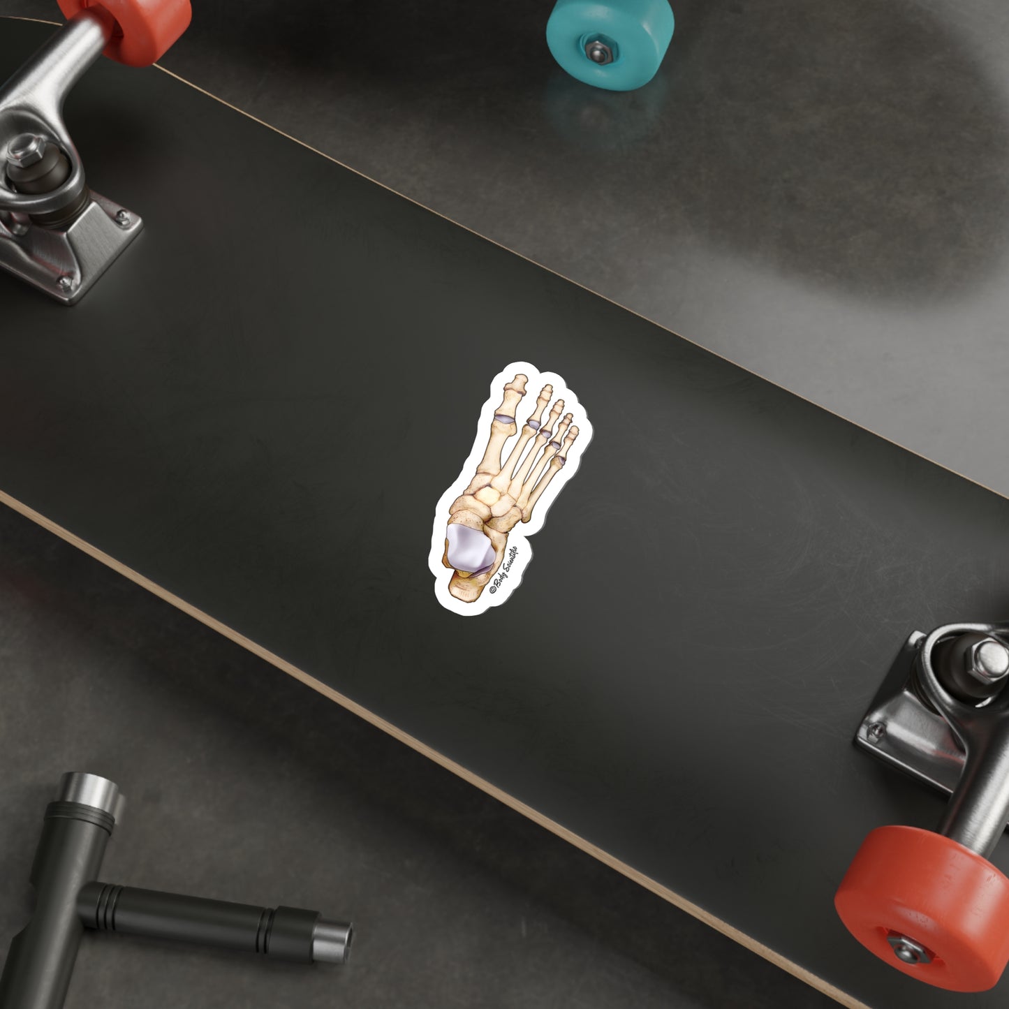 Foot Bones - Diecut Sticker