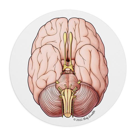 Cranial Nerves Mouse Pad