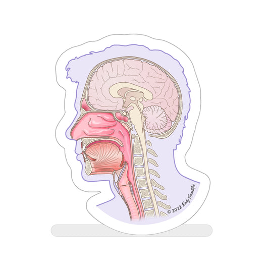 Sagittal Head - Diecut Sticker