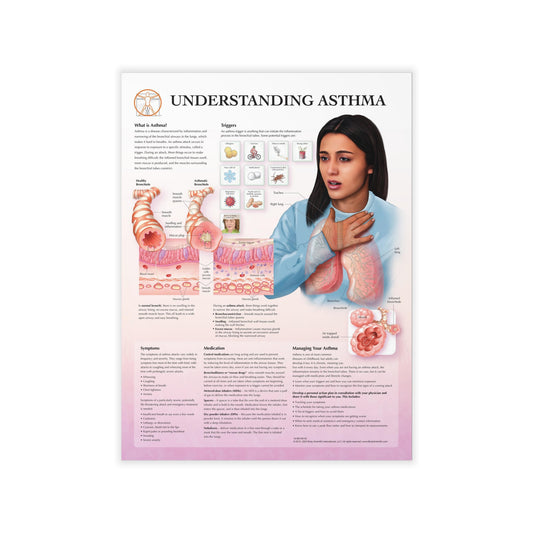 Understanding Asthma - Decal