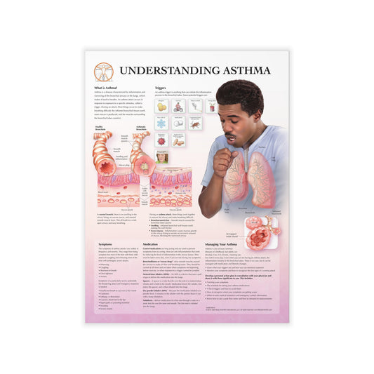 Understanding Asthma - Decal