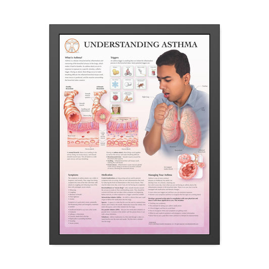 Framed Understanding Asthma