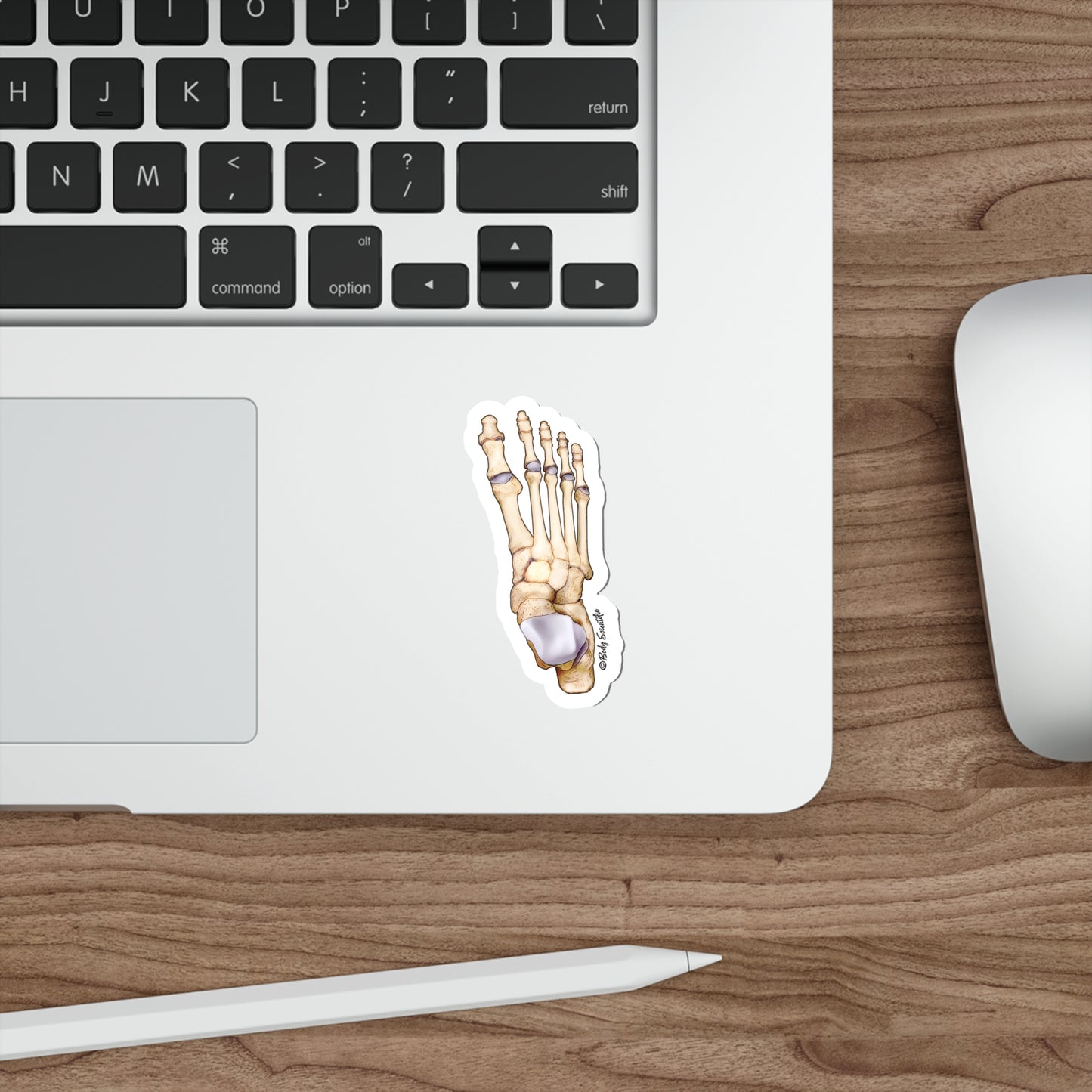 Foot Bones - Diecut Sticker