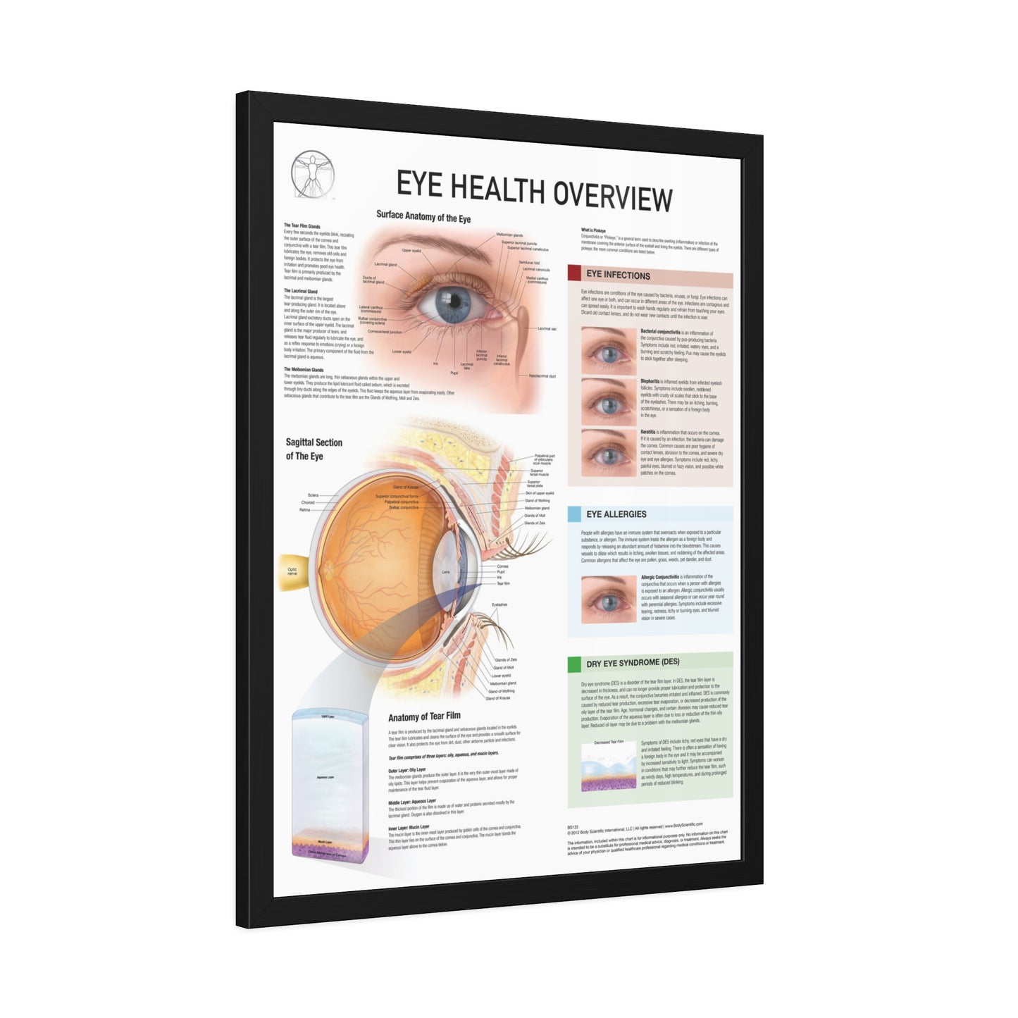 Eye Health Overview