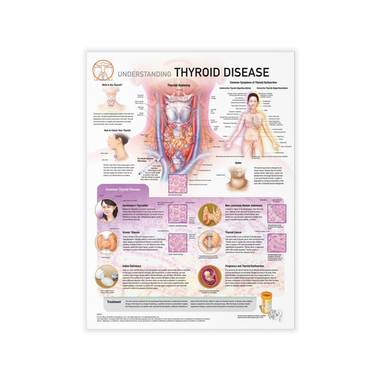 Understanding Thyroid Disease - Decal