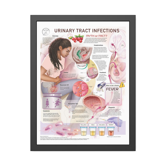 Urinary Tract Infection (UTI)