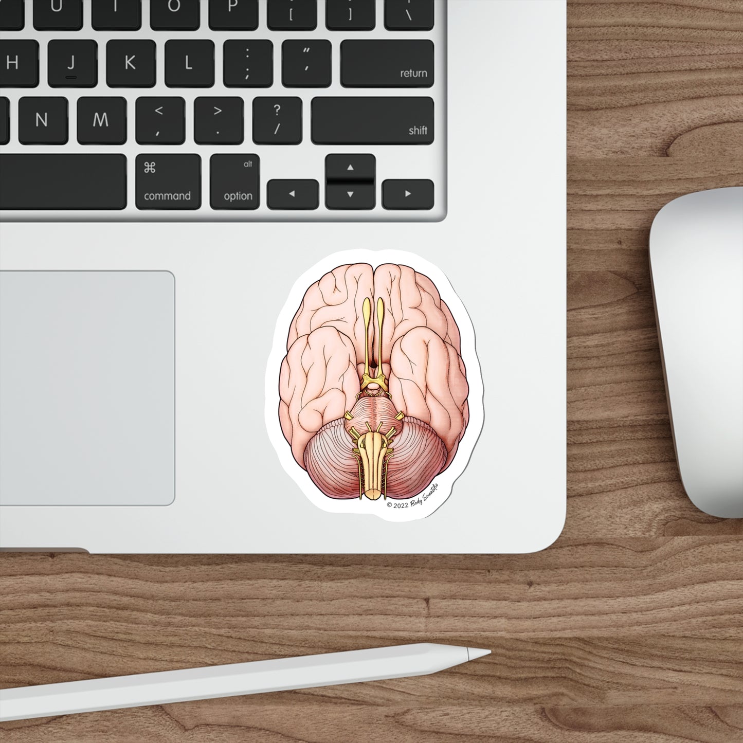 The Brain - Diecut Sticker