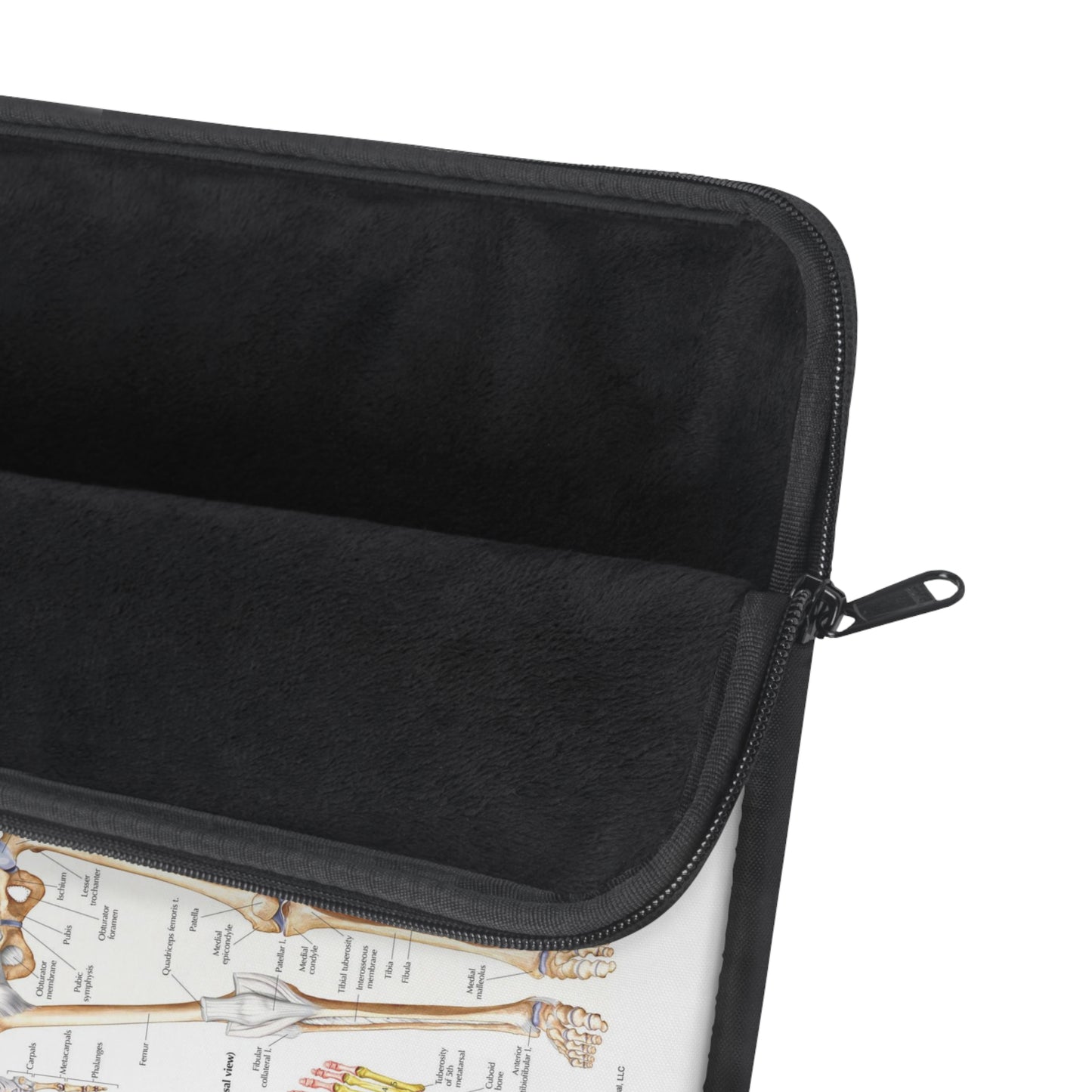 Skeletal System Laptop Sleeve