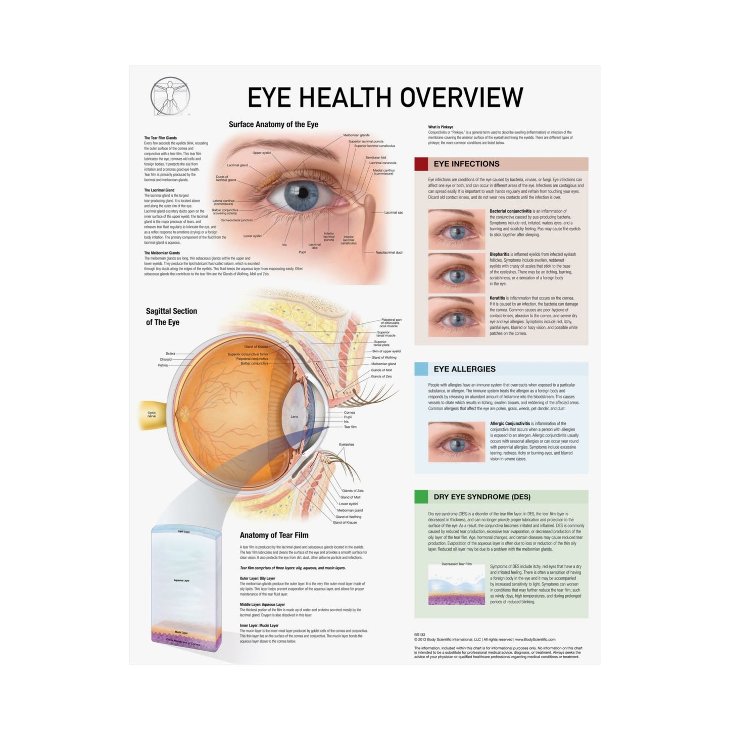 Eye Health Overview