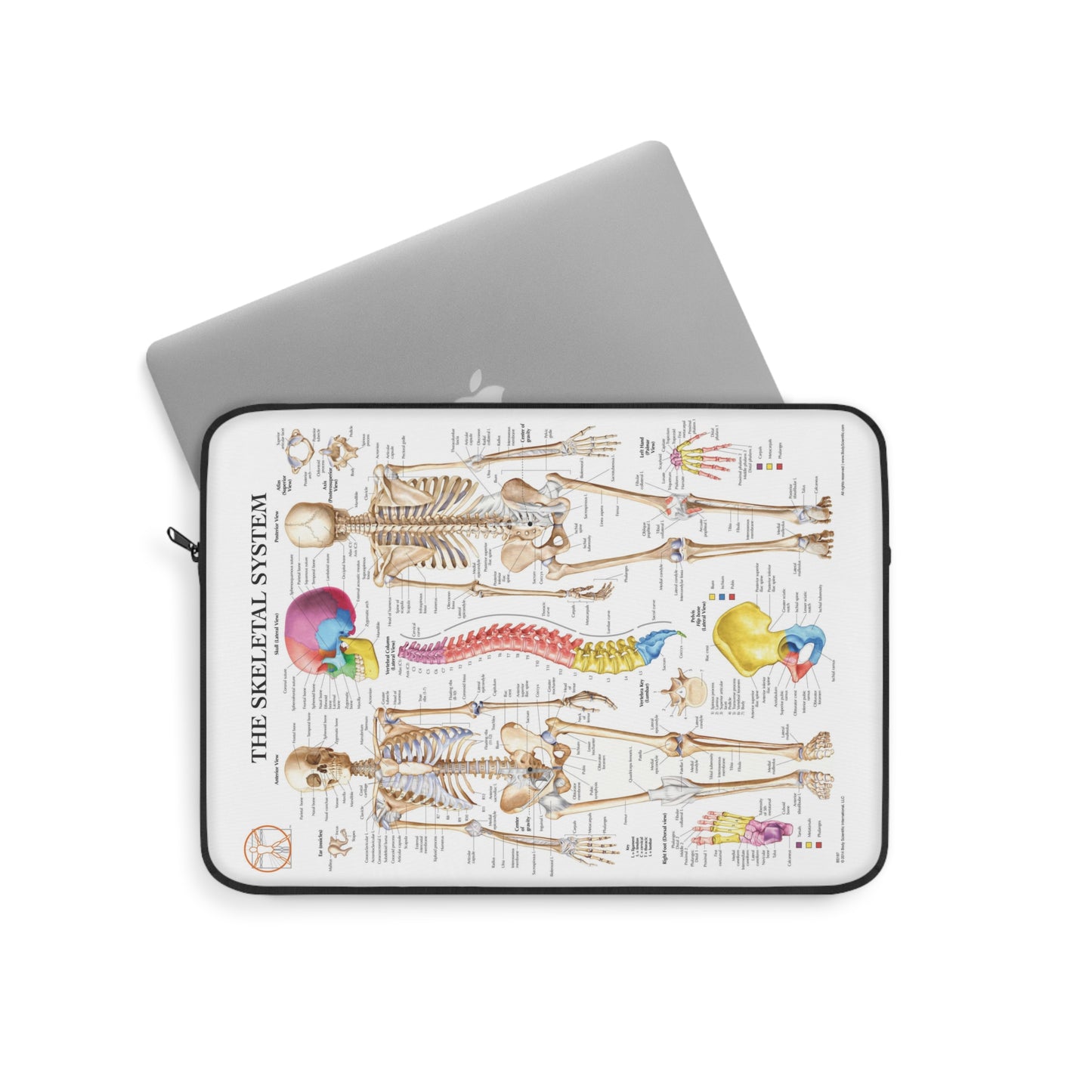 Skeletal System Laptop Sleeve