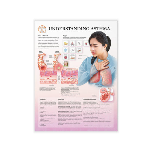 Understanding Asthma - Decal