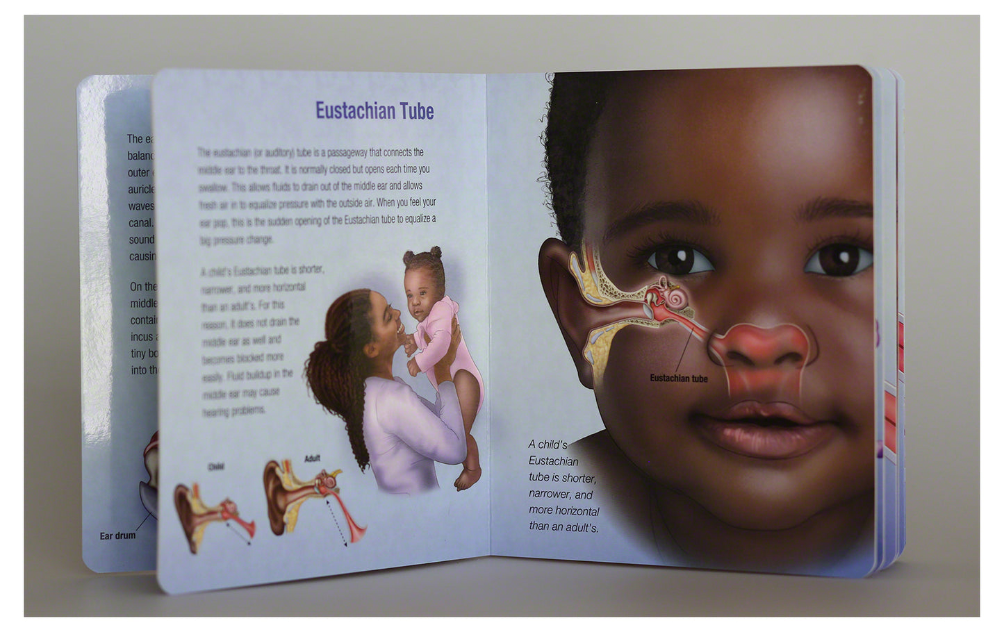 Otitis Media Board Book: Essential Ear Anatomy and Infection Guide