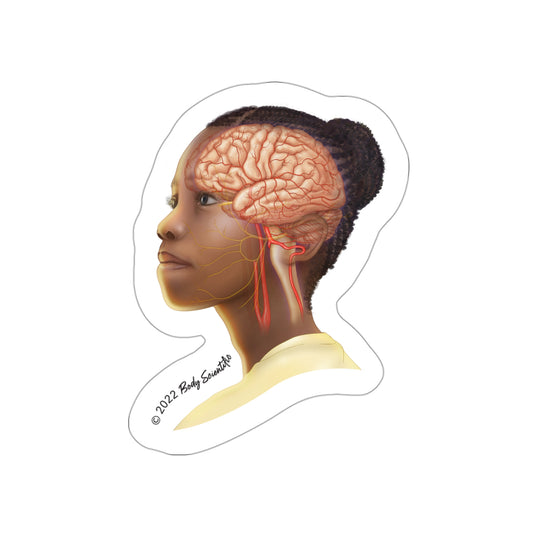 My Brain - Diecut Sticker