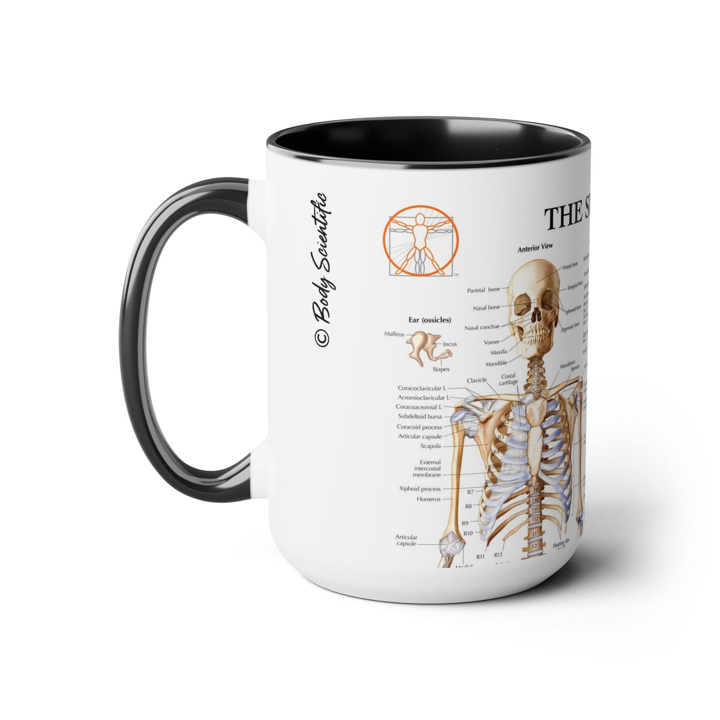 The Skeletal System, 15oz