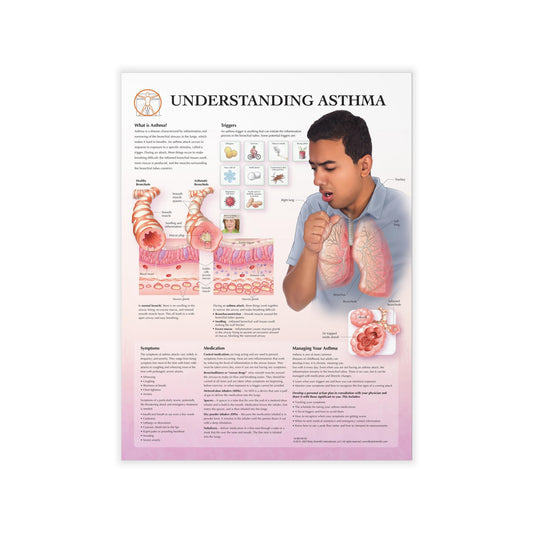 Understanding Asthma - Decal