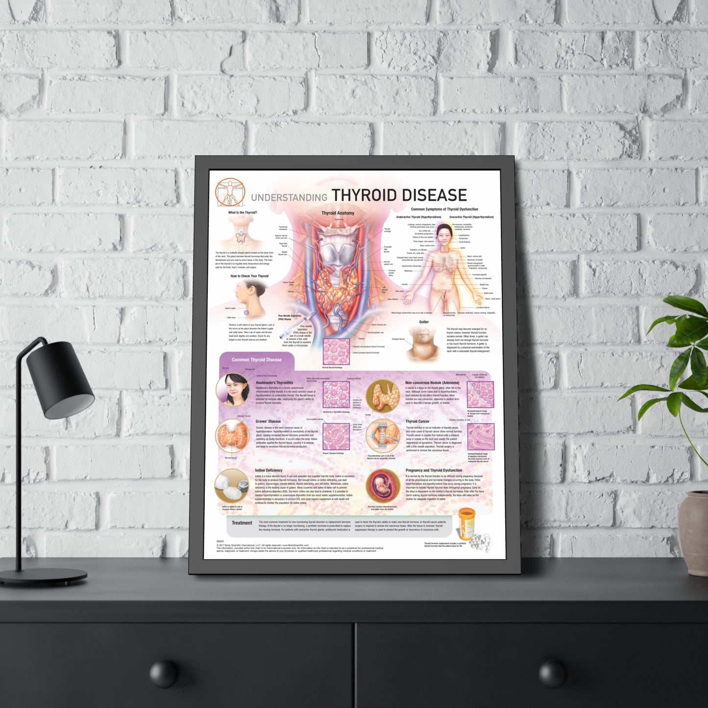 Understanding Thyroid Disease