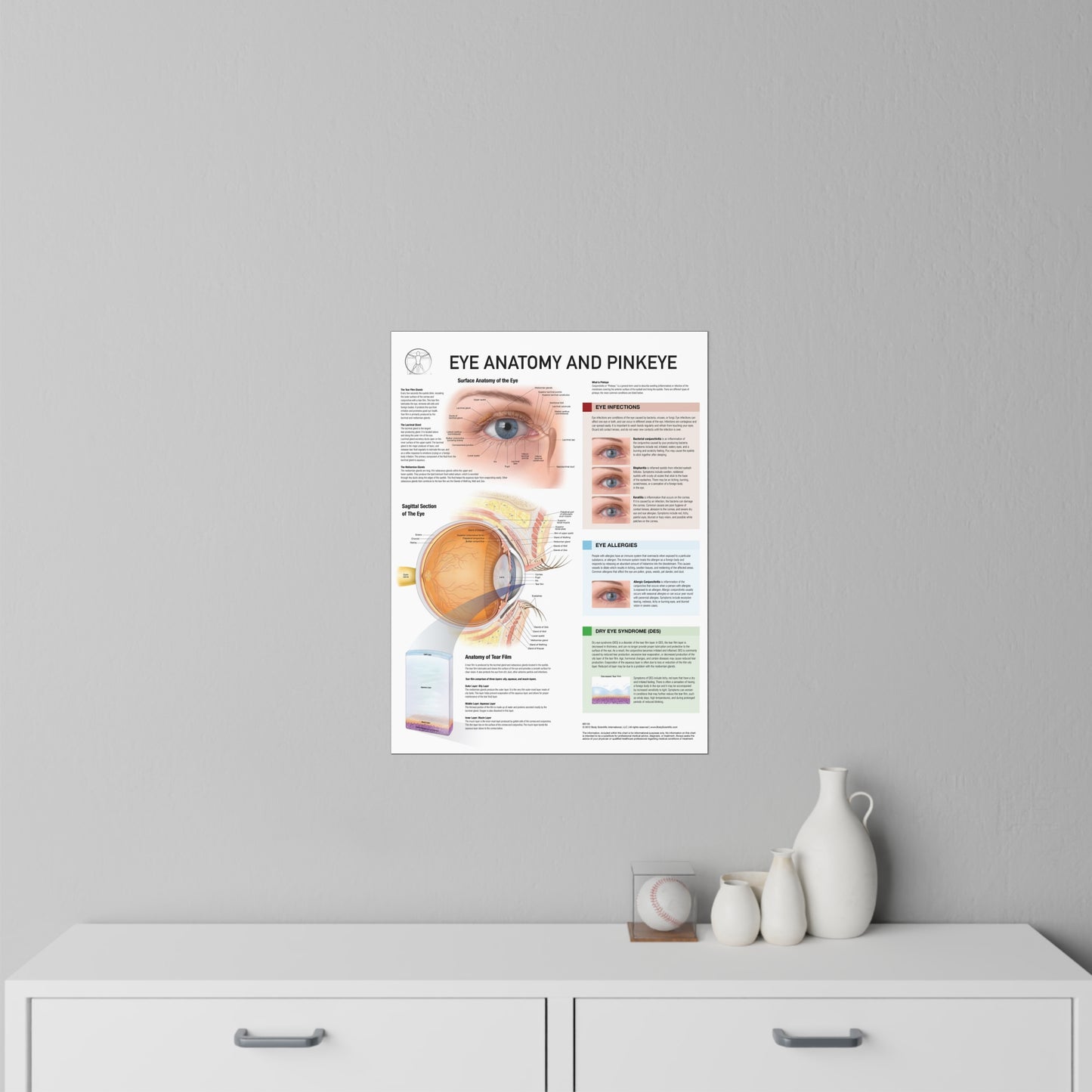 Eye Health - Decal