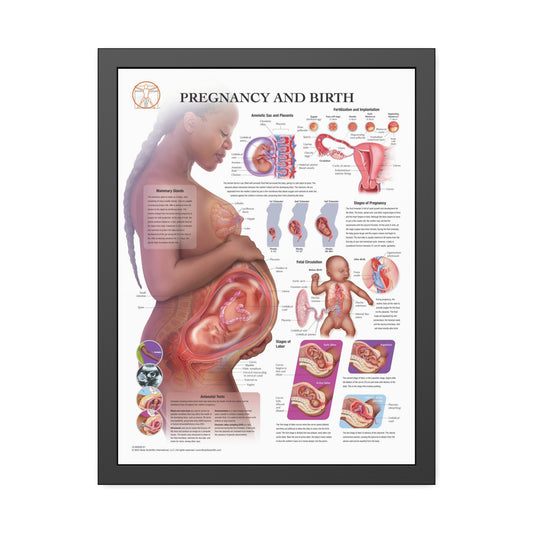 Framed Pregnancy and Birth
