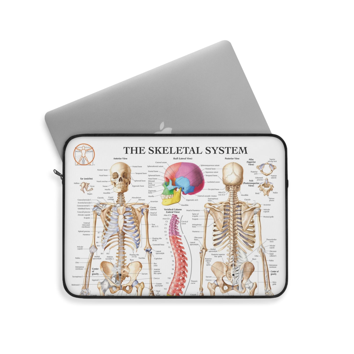 Skeletal System Laptop Sleeve