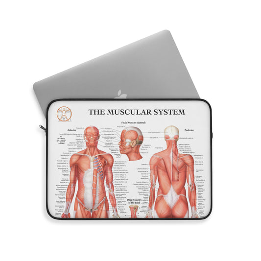 Muscular System Laptop Sleeve