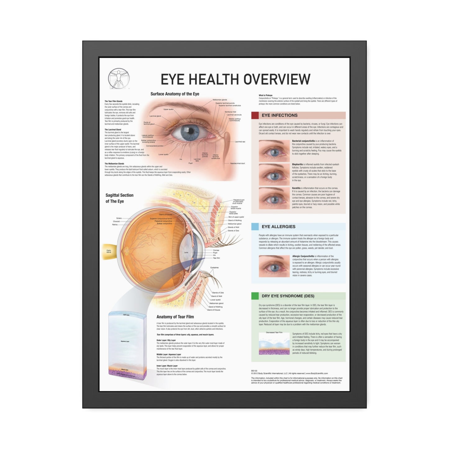 Eye Health Overview